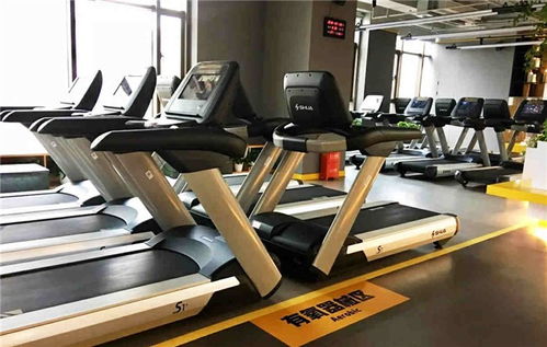 襄陽(yáng)戶外健身器材 舒揚(yáng)文體用品 圖