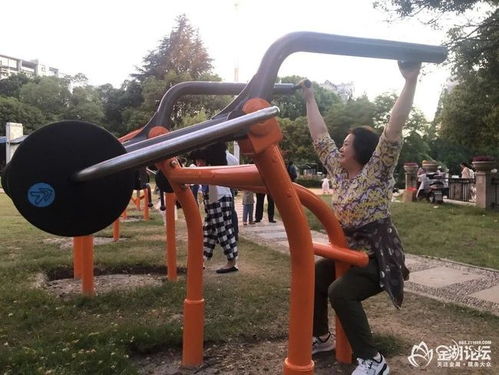 金湖翠湖公園新增力量型運(yùn)動(dòng)器材,成為一道靚麗的風(fēng)景線