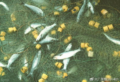 AquaTech 2026 馬來西亞漁業展覽會 領航漁業新紀元，驅動畜牧漁業飼料銷售創新